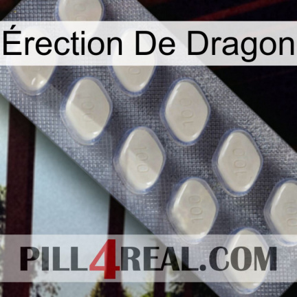 Érection De Dragon 08